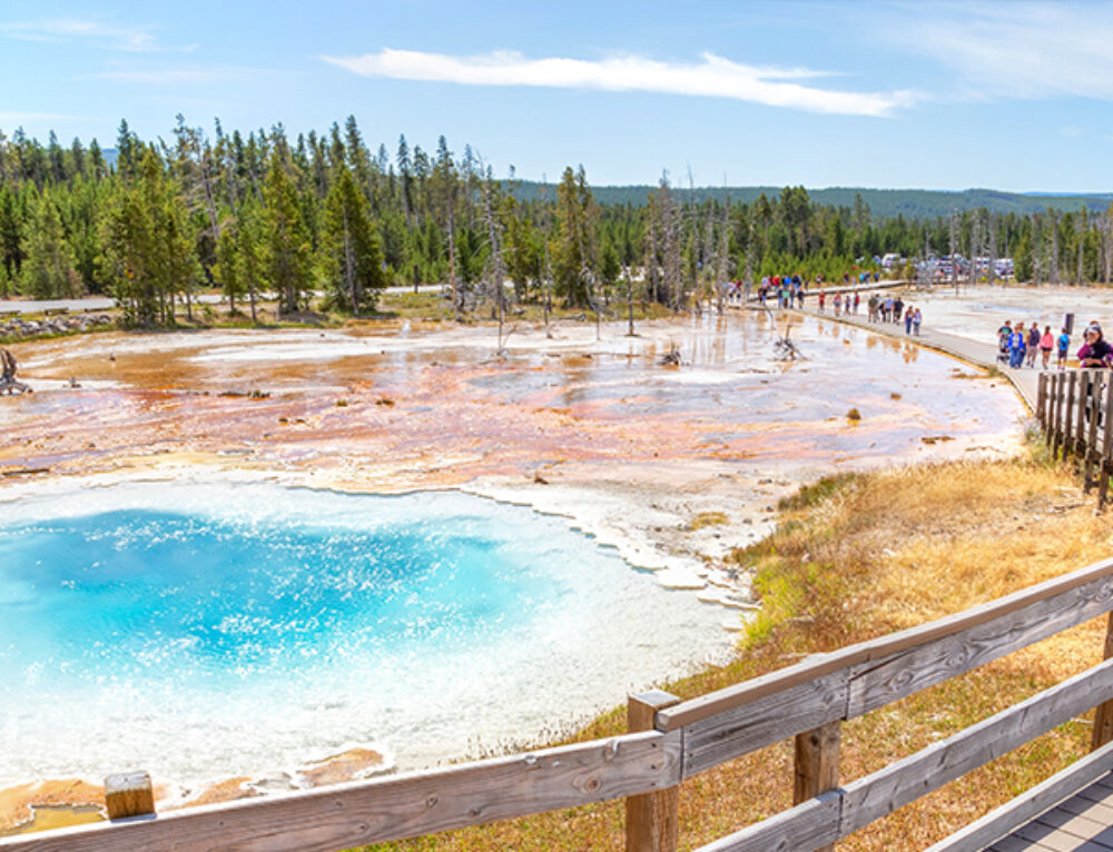 10 Must-Do Family Adventures in West Yellowstone